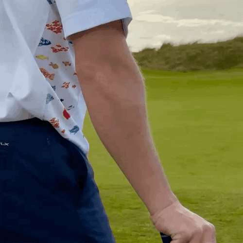 Gif de persona en un campo de golf llevando el estampado de aqua parade