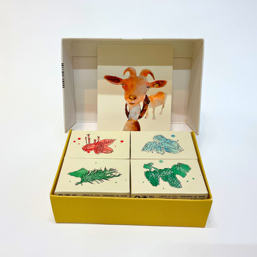 fotografia de lote de jabónes con imagen ilustrada